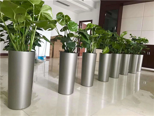 金属盆器绿植租赁摆放效果